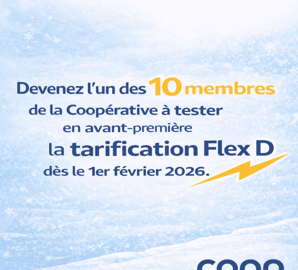 Affichage Tarification Flex D Affichage Tarification Flex D
